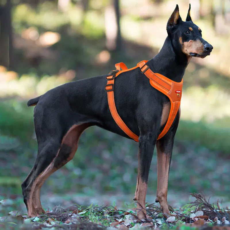 Doberman Pinscher Dog Harness Reflective Medium Large Dog Tactical Vest Large Waterproof Dog Harness Pet Accessories Supplies